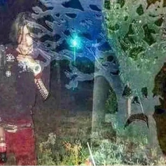 quintensagilla